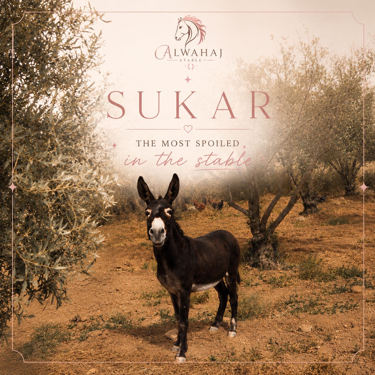 Sukar